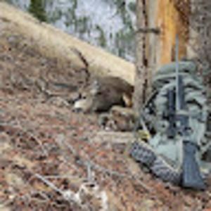 Meet your Posher, Calvin